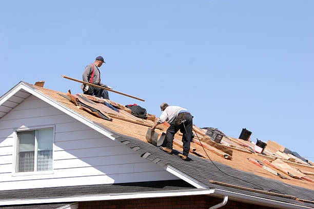 Best Roof Maintenance and Cleaning  in Gillette, NJ